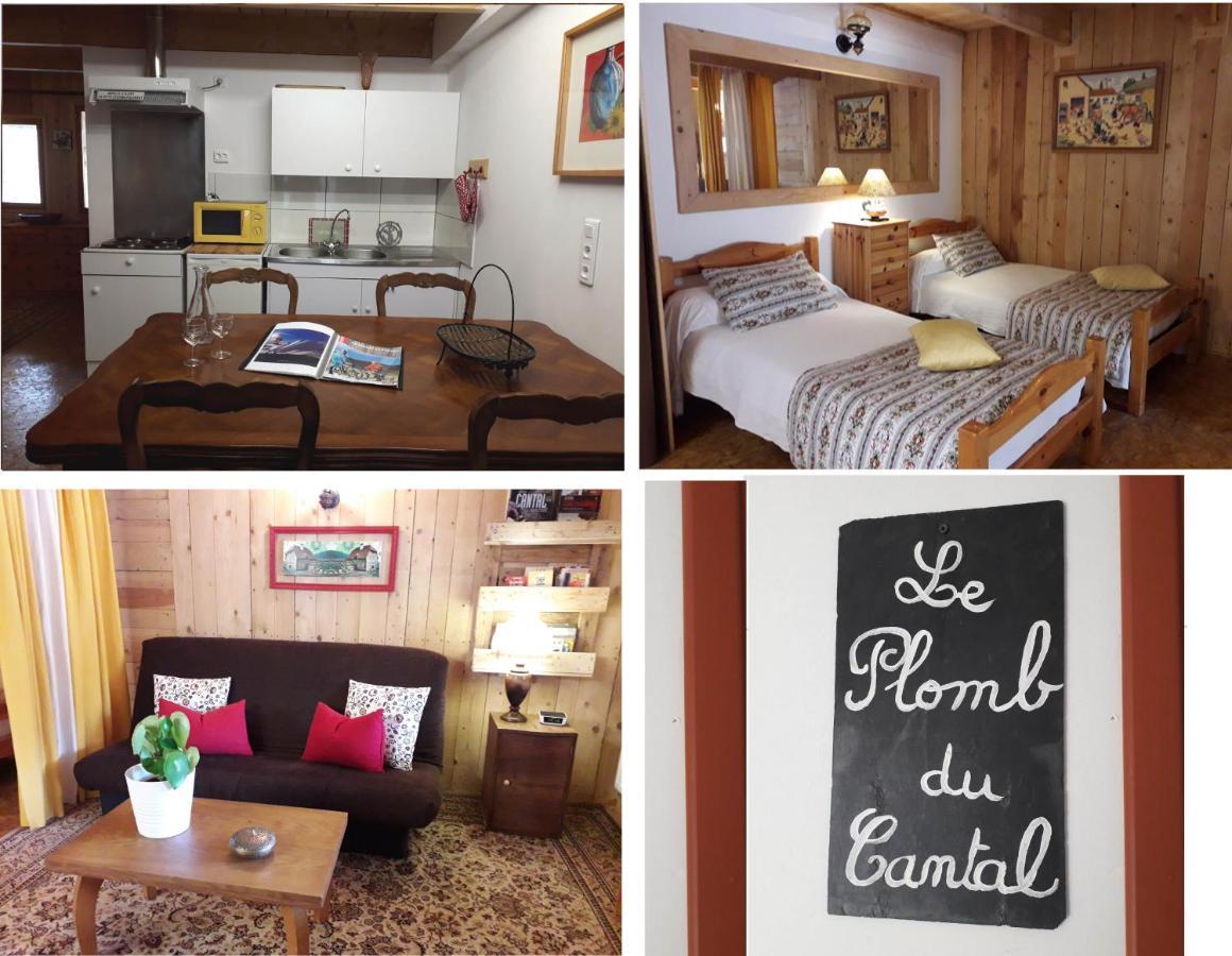 Meuble De Tourisme La Jaulipiere Apartment Joursac Екстериор снимка